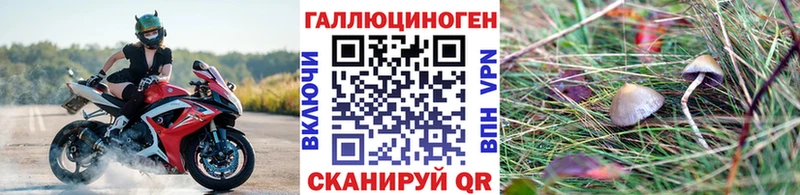 Галлюциногенные грибы Psilocybe Камызяк